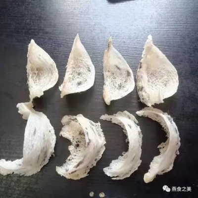 探索可食用燕窝：不同燕子种类与燕窝的食用指南