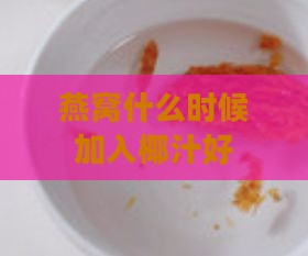 燕窝什么时候加入椰汁好