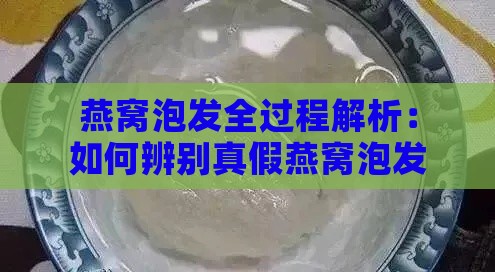 燕窝泡发全过程解析：如何辨别真假燕窝泡发后的特征与状态