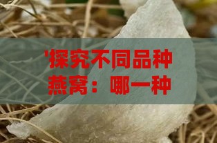 '探究不同品种燕窝：哪一种燕窝品质更优'