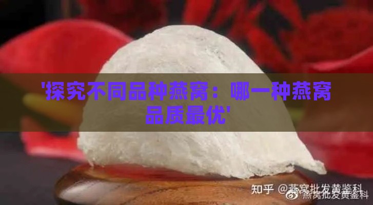 '探究不同品种燕窝：哪一种燕窝品质更优'