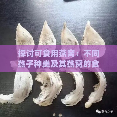 探讨可食用燕窝：不同燕子种类及其燕窝的食用指南