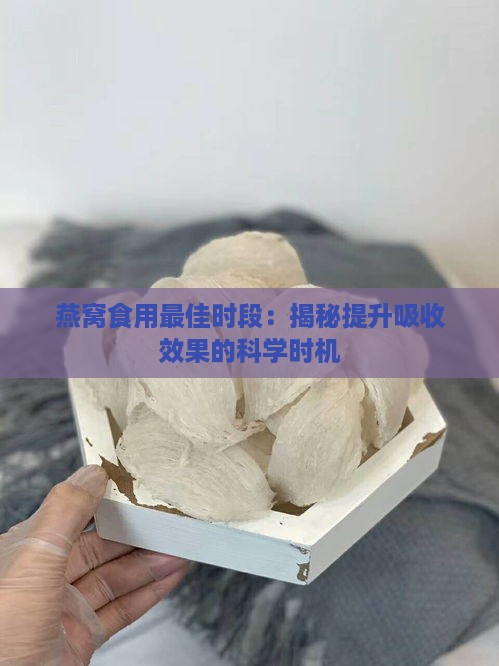 燕窝食用更佳时段：揭秘提升吸收效果的科学时机