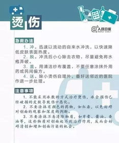 全方位指南：燕窝代理入门必备知识与关键要点解析