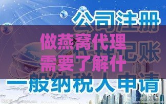 做燕窝代理需要了解什么问题：注意事项、技巧及合作公司选择要点