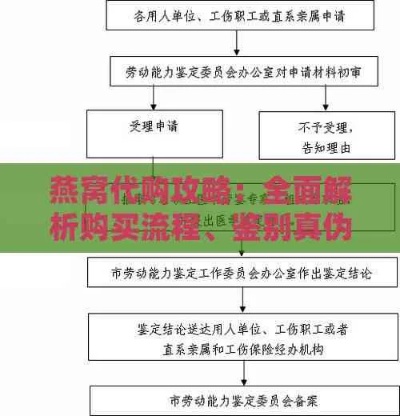 燕窝代理入门指南：必备手续与流程解析