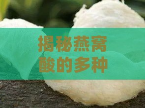 揭秘燕窝酸的多种来源：从燕窝到日常食物的全面梳理