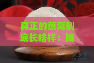 真正的燕窝到底长啥样：揭秘燕窝的真实面貌