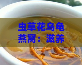 虫草花乌龟燕窝：滋养肺脏的炖品配方