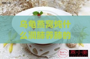 乌龟燕窝炖什么润肺养肺的食物及效果，乌龟煲汤食谱与功效