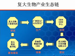 燕窝行业解析：经销商、进口商与生产商角色差异及合作要点