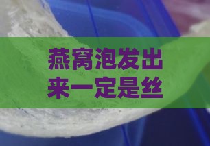 燕窝泡发出来一定是丝状吗：探究其形态与原因