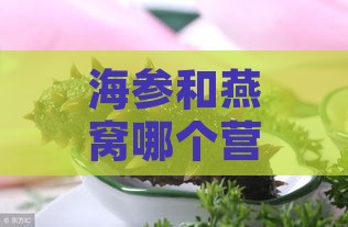 海参和燕窝哪个营养成分好一些吗：营养价值对比分析