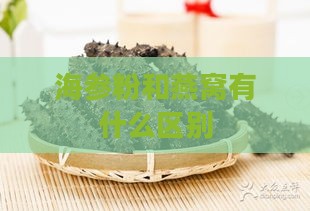 海参粉和燕窝有什么区别