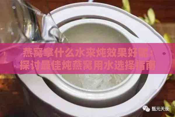 燕窝拿什么水来炖效果好呢：探讨更佳炖燕窝用水选择指南