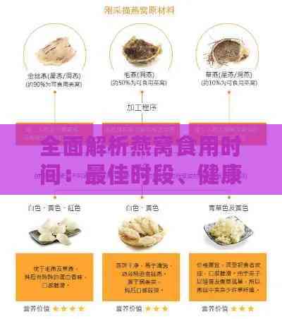 全面解析燕窝食用时间：更佳时段、健康效益与个人化建议