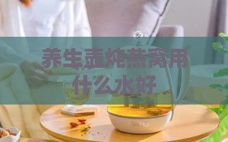 养生壶炖燕窝用什么水好