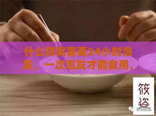 什么燕窝需要24小时泡发，一次泡发才能食用，燕窝泡发容器选择与时长对比