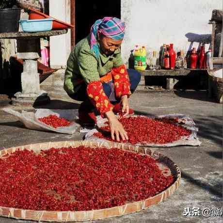 自己炖燕窝麻烦吗：炖燕窝详细步骤、保存方法及食用指南