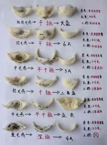 半干挑燕窝的流程是什么意思：详解其流程与干挑燕窝的区别