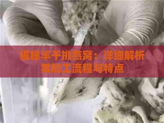 揭秘半干挑燕窝：详细解析其加工流程与特点