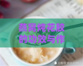 燕窝炖花胶的功效与作用：详解做法、禁忌及好处