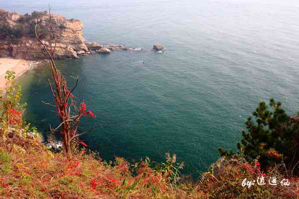 燕窝岭邻近海域揭秘：探寻那些美丽的无名岛屿海滩