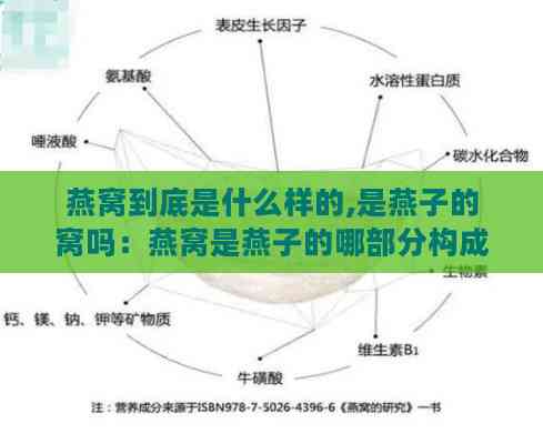 燕窝到底是什么样的,是燕子的窝吗：燕窝是燕子的哪部分构成及其真实面目