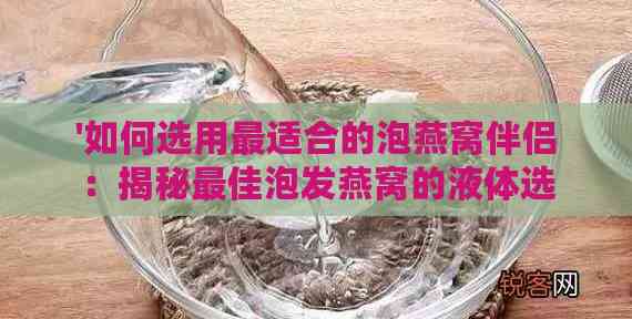 '如何选用最适合的泡燕窝伴侣：揭秘更佳泡发燕窝的液体选择'