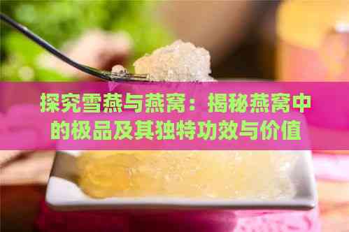 探究雪燕与燕窝：揭秘燕窝中的极品及其独特功效与价值