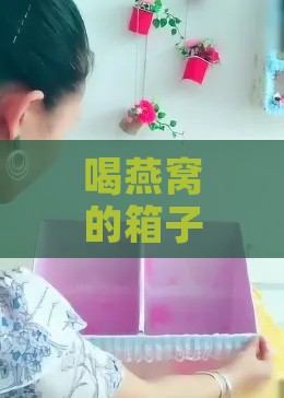 喝燕窝的箱子可以做什么用：变废为宝的实用指南