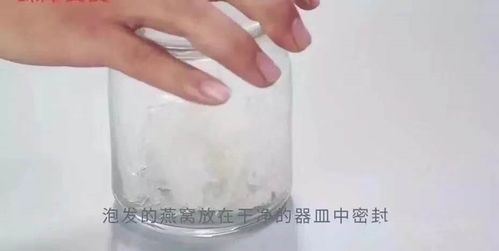 泡发后的燕窝是什么味道的：泡发好的燕窝味道与特点解析