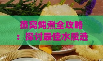 燕窝炖煮全攻略：探讨更佳水质选择与炖煮技巧