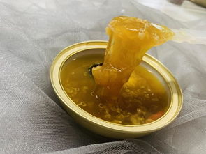 什么即食花胶燕窝好用呢