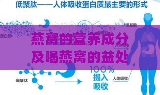 燕窝的营养成分及喝燕窝的益处与禁忌：全面解析燕窝的营养价值与功效