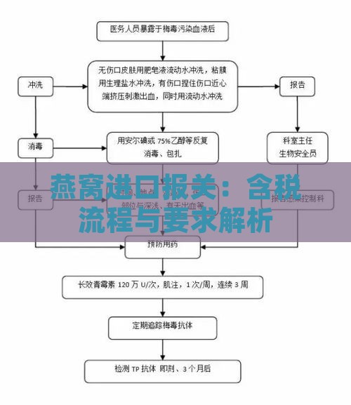 燕窝进口报关：含税流程与要求解析