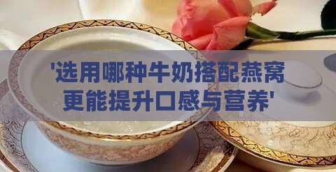 '选用哪种牛奶搭配燕窝更能提升口感与营养'