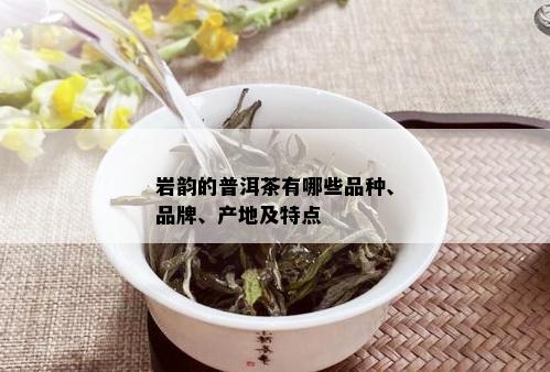 燕窝搭配推荐：各牛奶口感对比与选购指南