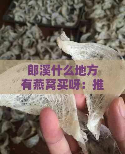 郎溪什么地方有燕窝买呀：推荐购买地与选购攻略