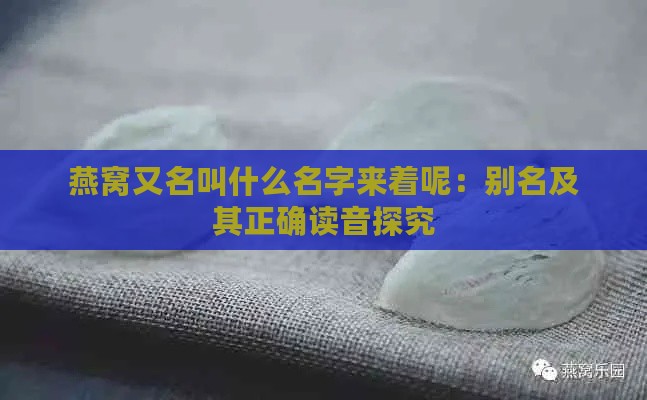 燕窝又名叫什么名字来着呢：别名及其正确读音探究