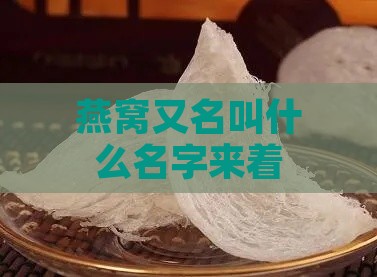 燕窝又名叫什么名字来着