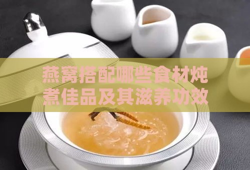 燕窝搭配哪些食材炖煮佳品及其滋养功效解析