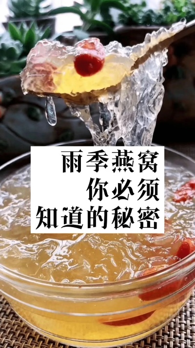 雨季之后的燕盏精华所在：滋养与美味双重升级