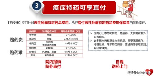 金燕窝介绍：探寻其背后的产品系列与市场评价