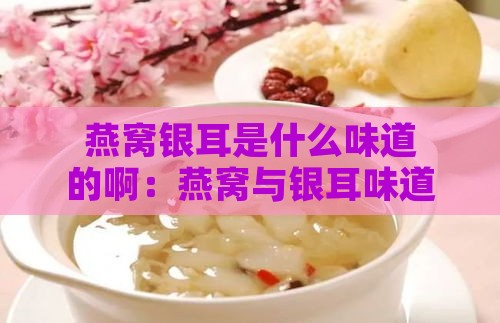 燕窝银耳是什么味道的啊：燕窝与银耳味道区别及食用方法