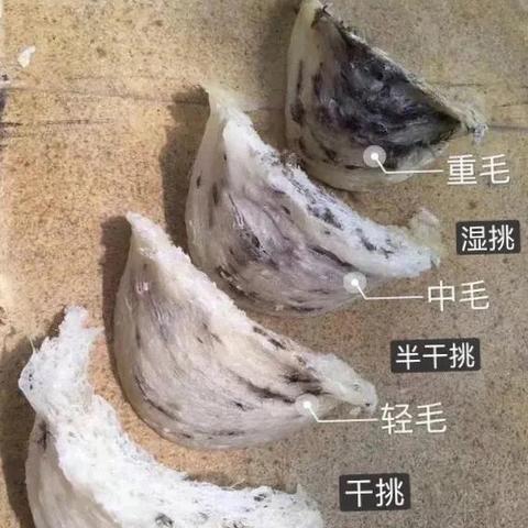 燕窝发霉了可以吃吗受潮了发霉了怎么处理与紧急措施