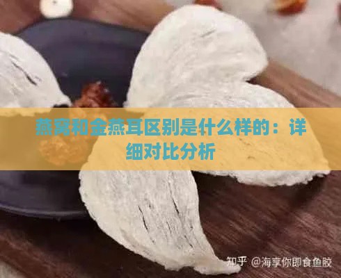 燕窝和金燕耳区别是什么样的：详细对比分析