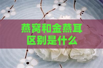 燕窝和金燕耳区别是什么