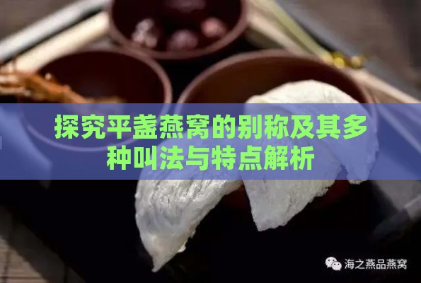 探究平盏燕窝的别称及其多种叫法与特点解析