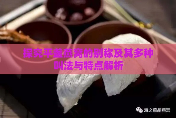 探究平盏燕窝的别称及其多种叫法与特点解析